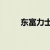 东富力士和金富力士（金 富力士）