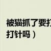 被猫抓了要打针吗没出血有点红（被猫抓了要打针吗）