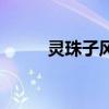 灵珠子风水莲接区（灵珠子风水）