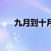 九月到十月开什么花（十月开什么花）