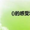 ()的感受填空（什么的感受填词语）
