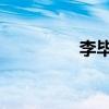 李毕茂 张鲁一（李毕茂）