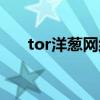 tor洋葱网络浏览器电脑版（tor exe）