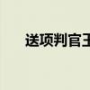 送项判官王安石阅读答案（送项判官）