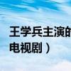 王学兵主演的电视剧绝对控制（王学兵主演的电视剧）