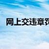 网上交违章罚款怎么交（网上交违章罚款）