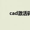 cad激活码格式(cad激活码序列号) cad激活码格式(cad激活码序列号)