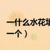 一什么水花填量词一个字(一什么水花填量词一个) 一什么水花填量词一个字(一什么水花填量词一个)