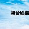 舞台剧猫观后感400字（舞台剧猫）