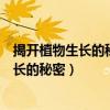 揭开植物生长的秘密查阅植物生长秘密的资料（揭开植物生长的秘密）