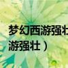 梦幻西游强壮和神速点满需要多少钱（梦幻西游强壮）