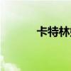 卡特林娜符文（卡特琳娜符文）