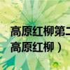 高原红柳第二自然段的环境描写有什么作用（高原红柳）