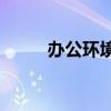 办公环境5s管理标准（办公环境）