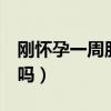 刚怀孕一周肚子会大吗（刚怀孕1周肚子会涨吗）