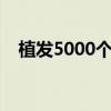 植发5000个毛囊多少钱（秃顶能治好吗）
