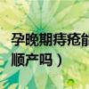 孕晚期痔疮能顺产吗有危险吗（孕晚期痔疮能顺产吗）