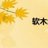 软木地板图片（软木地板）