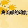 禽流感的鸡能活多少天（禽流感的鸡能吃吗）