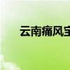 云南痛风宝官方旗舰店（云南痛风宝）