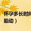 怀孕多长时间有胎动是男孩（怀孕多长时间有胎动）