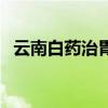 云南白药治胃糜烂吗（云南白药治胃病吗）