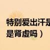 特别爱出汗是肾阴虚还是肾阳虚(特别爱出汗是肾虚吗) 特别爱出汗是肾阴虚还是肾阳虚(特别爱出汗是肾虚吗)