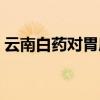 云南白药对胃糜烂有用吗(云南白药胃溃疡) 云南白药对胃糜烂有用吗(云南白药胃溃疡)