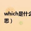 which是什么意思中文翻译（which是什么意思）