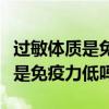 过敏体质是免疫力高还是免疫力低（过敏体质是免疫力低吗）