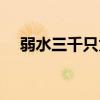 弱水三千只为你小说（弱水三千只为你）