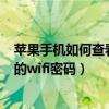 苹果手机如何查看自己的wifi密码（苹果手机怎么查看自己的wifi密码）