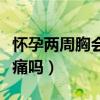 怀孕两周胸会胀痛吗会疼吗（怀孕两周胸会胀痛吗）