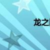 龙之团队游戏（龙之团队）