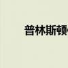 普林斯顿体系国王（普林斯顿体系）