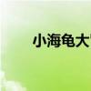 小海龟大冒险女生（小海龟大冒险）