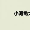 小海龟大冒险2（小海龟大冒险）