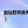 血钻野燕麦有什么用（血钻野燕麦真的有效吗）