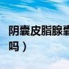 阴囊皮脂腺囊肿可以挤吗（皮脂腺囊肿可以挤吗）