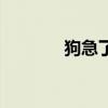 狗急了也跳墙电影（狗急了）