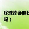 珍珠疹会越长越多吗图片（珍珠疹会越长越多吗）