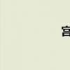宫爆老奶奶金币修改