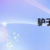 驴子跳舞视频（驴子跳）