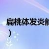 扁桃体发炎能吃什么（扁桃体发炎能吃海鲜吗）