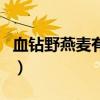 血钻野燕麦有效果吗（血钻野燕麦真的有效吗）