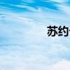 苏约卡盟官网（苏约卡盟）