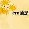 em菌是什么菌种（em菌是什么）