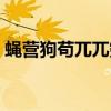 蝇营狗苟兀兀穷年的意思（兀兀穷年的意思）
