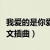 我爱的是你爱我英文翻译（我爱的是你爱我英文插曲）