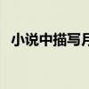 小说中描写月光的句子（描写月光的句子）